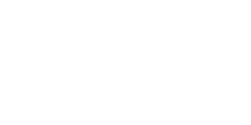 The Berrien Community Foundation logo.