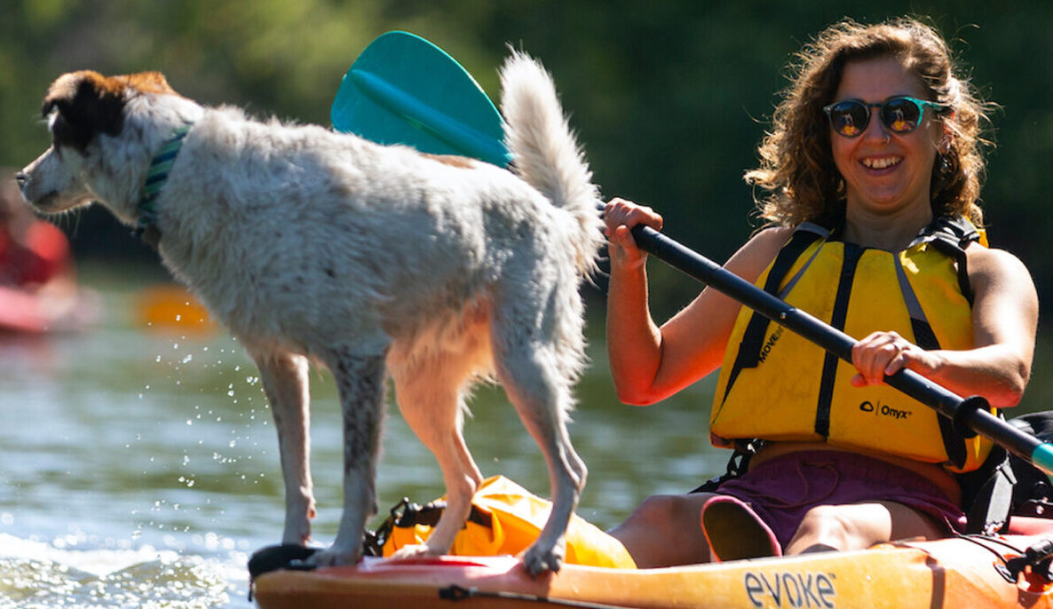 A person kayaking with their dog.